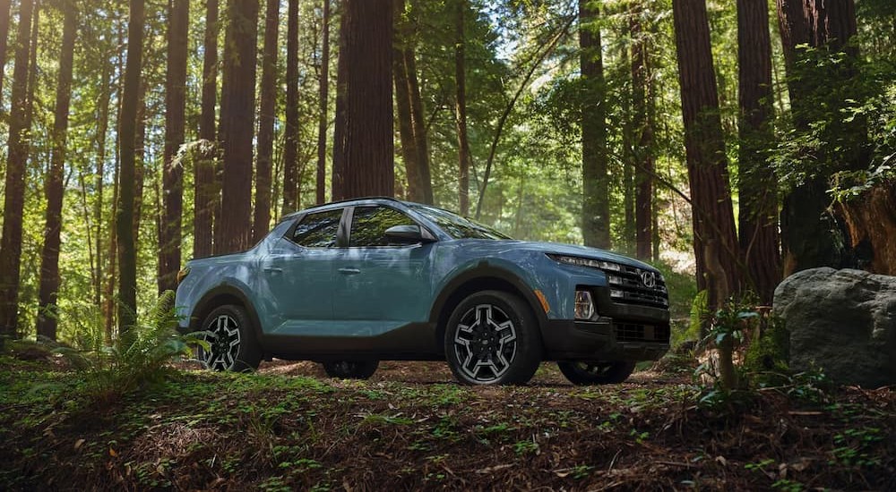 A blue 2026 Hyundai Santa Cruz for sale near Oak Ridge parked in a forest.