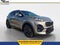 2022 Kia Sportage Nightfall