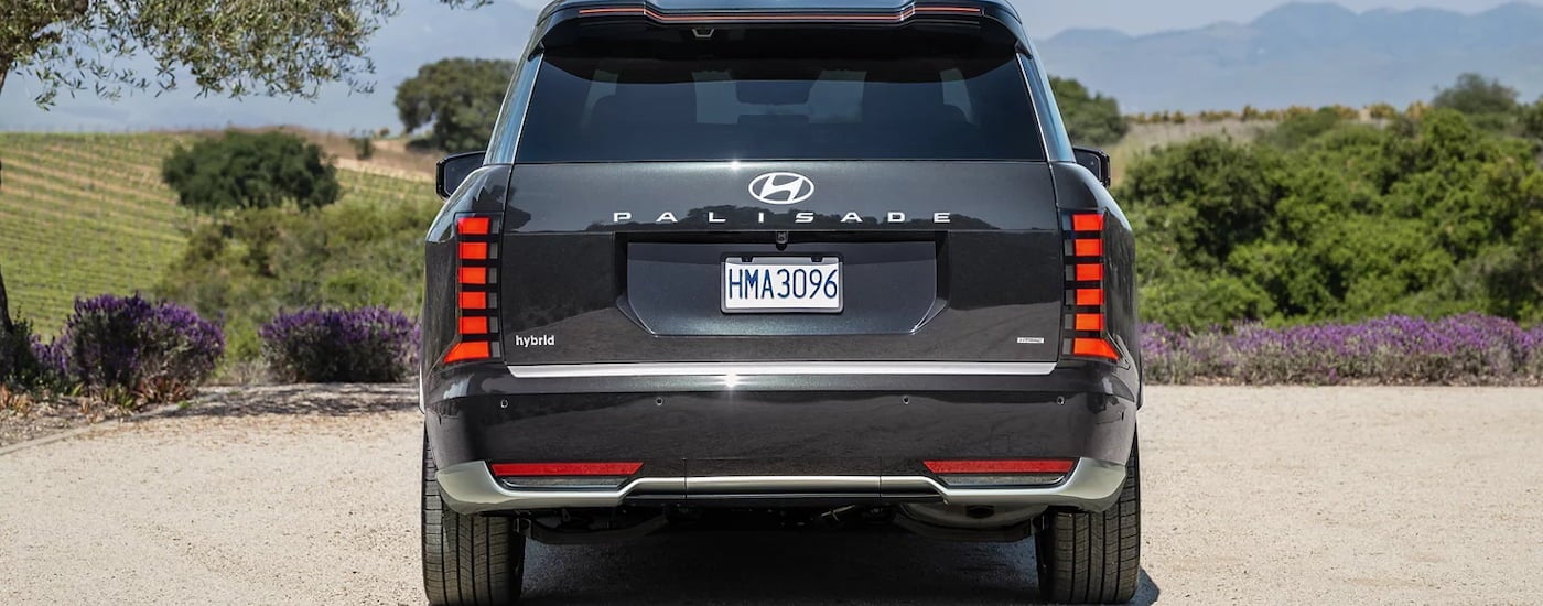 Rear of a black 2026 Hyundai Palisade parked off-road.